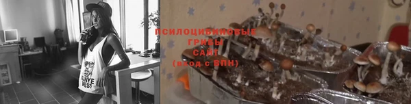 прущая мука Армянск