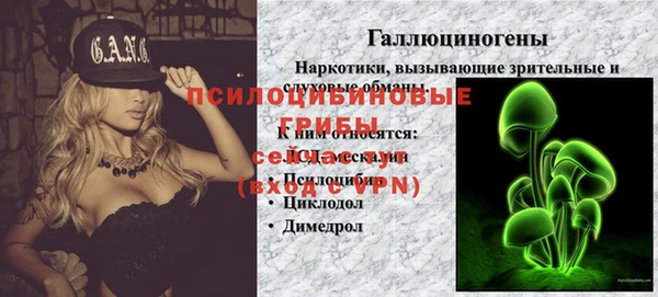амф Арсеньев
